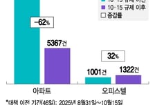 "아파트 사긴 글렀다" 규제 비껴간 오피스텔로 우르르?...전문가 조언은