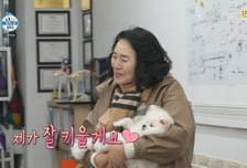 기안84, 반려견 보내고 유기견 2마리 입양…母 "내가 잘 키우겠다"