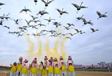 S-OIL, AI 영상으로 생태 보전 ESG 메시지 전해