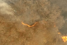 "산불 뉴스 나오길래"...호기심에 불 지른 50대, '심신미약' 주장했지만