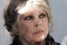 '개고기 비판' 프랑스 유명배우 브리지트 바르도 별세…향년 91세