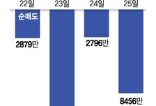 "美주식 팔았어요" 집나간 서학개미 짐싸서 돌아오나