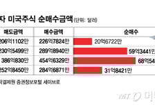 '59억弗→20억弗' 서학개미 폭풍매수 진정세