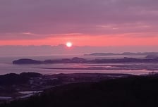 올해 마무리는 일몰 명소 대부도에서…'바다향기수목원' 연장 운영