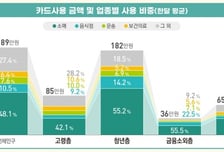 청년층 카드 사용액 月 182만원…노인의 2배 쓴다