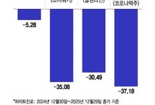 "회식? 전 운동 갈게요" 달라진 2030...김빠진 소맥문화에 주류주 '휘청'