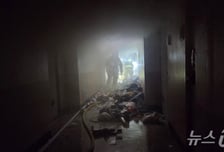 2m 쓰레기 더미 갇힌 베트남 참전용사...불길 속 끝내 사망