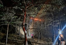 강원도 고성 야산에서 산불...1시간 20여분 만에 진화