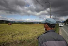 12도→14.8도...펄펄 끓는 한반도, 110여년 만에 열대야 '4배'