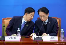 '배임죄 대체입법' 상황점검한 與..."다음 협의땐 진전된 내용 발표"