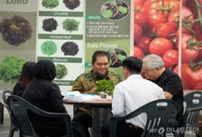 국내 종자산업 2년 새 11% 성장…육묘 부문 41% 확대