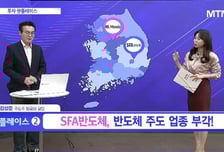 [투자 핫플레이스] 내년 데이터센터 SSD, 서버용 DDR5 물량 본격 투입 'SFA반도체'