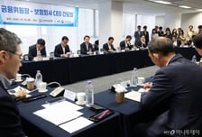 2027년부터 보험사 '기본자본킥스 50% 규제' 도입