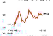 "왜 안 오르지?"...환율 뚝뚝 떨어져도 은행주는 '잠잠'