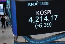 미 증시에서도 급등한 한국 ETF