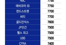 美증시, 내년 상승폭 줄고 변동 커져… AI 잘쓸 기업 주목