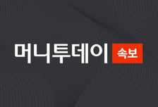 [속보]뉴욕증시 사흘째 약세 마감…연말 재료 실종