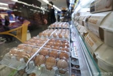 12월 물가 2.3% 상승…2025년 연간 물가 상승률 2.1%