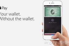 "언제 나와"… 1년간 군불만 지핀 애플페이, 새해엔 확대되나?