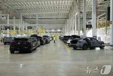 "폐차하고 전기차 사면 차값 12% 지원"…내수부양 올인 중국