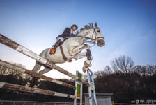 작심삼일 그만…운동·독서·외국어까지 신년 '루틴 챌린지' 쏟아진다