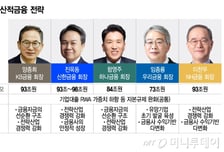 5대금융, '생산적금융'은 경제 돌파구..."자본규제는 풀어야"