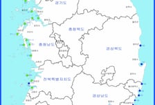 설사·복통 등 위험 사전 예방…해수부, 홍합·굴 등 패류독소 안전관리