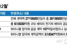 '공포의 12월' 보낸 K배터리…올해 돌파구 묘수는?