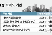 기술·사업적 성과 인정… 경쟁력은 충분, 이제 달릴 차례