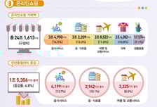 작년 11월 온라인쇼핑 거래액 24.2조…전년 대비 6.8%↑