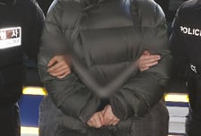 '지인에게 마약 투약' 남양유업 3세 황하나, 서울구치소 수용