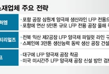 K배터리 소재도 위기감 확산…LFP·유럽 현지 생산 돌파구될까
