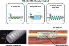 티앤알바이오팹, 생체재료 신경재생유도관 개발…"사업 영역 확장"