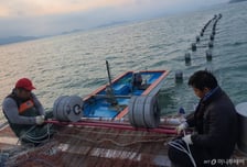 해수부, 외국인 양식 기술자 국내 고용 넓어진다…16개 품종으로 확대