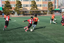 동계 전지훈련 중심 장흥군, 초등부 축구 31팀 맞이 준비 분주