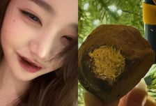 장원영·안성재도 빠졌다…'품절대란' 두쫀쿠, 인기 비결 '셋'