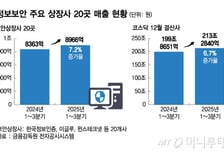 보안규제 강화로 외국기업만 웃는다…소외되는 국내 보안업계