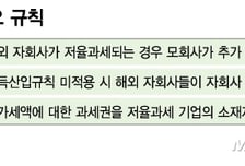 미국 투자하는 기업의 '글로벌 최저한세' 부담 줄어든다