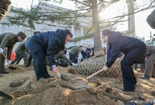 北 김정은-주애 부녀, 마주보고 삽질…'러 파병 기념관'서 식수 행사