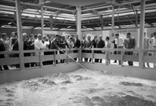 서울역사박물관, '66, 현대 서울을 만든 공간각본' 보고서 발간