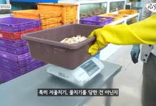 "벼르는 사람 많다"...킹크랩 '저울치기' 고발한 유튜버에 협박 쏟아져