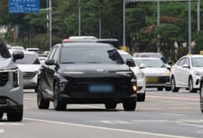 전기차 50% 목표에 업계 우려…"테슬라·BYD만 키운다"