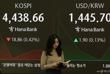 14만전자·72만닉스 터치...반도체 투톱 랠리에 코스피 4500선 돌파