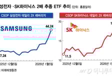 13만전자·72만닉스에 진짜 대박 난 ETF 따로 있다