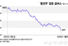 "코스피 떨어진다" 곱버스 탔다가...경고 무시한 불개미들 '곡소리'