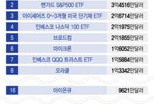 GPU 대신 TPU? 알파벳 배우는 서학개미