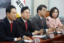 [속보]장동혁 "당 가치와 방향 재정립…전 당원 뜻 물어 당명 개정 추진"