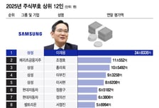 [더차트]국내 주식자산 부호…1위 이재용, 2위는 누구?