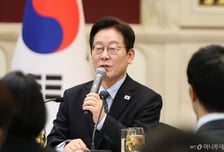 이재명 대통령, 中한한령에 "시간 필요…봄도 갑자기 안 와"