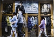 "백화점 브랜드 다 어디갔지" 안팔린지 수년째, 돈되는 브랜드만 남긴다